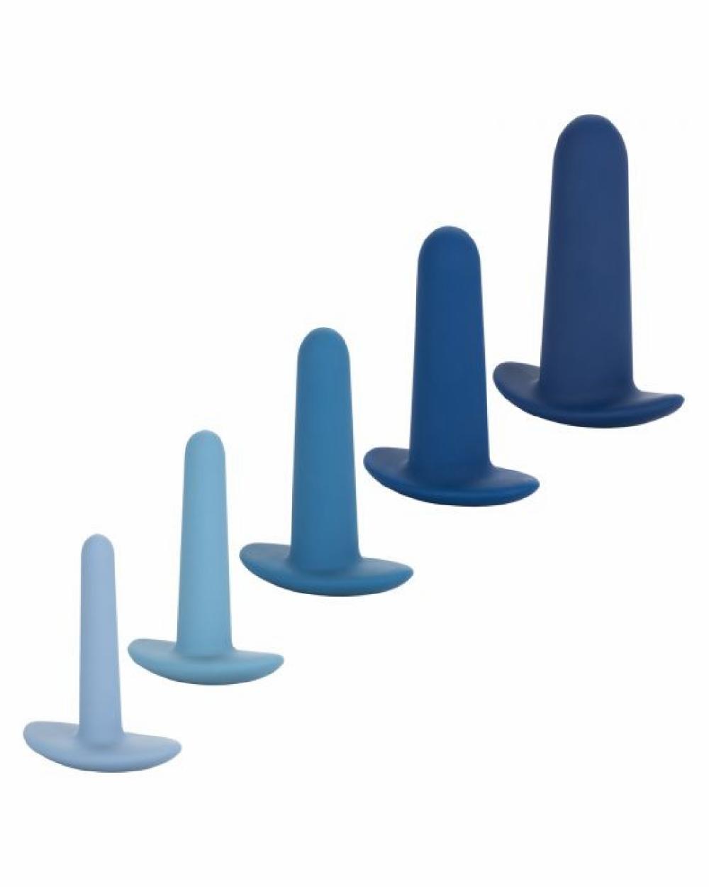 Anal Toys | They-Ology 5-Piece Wearable Anal Training Set Anal Toys Anal Toys